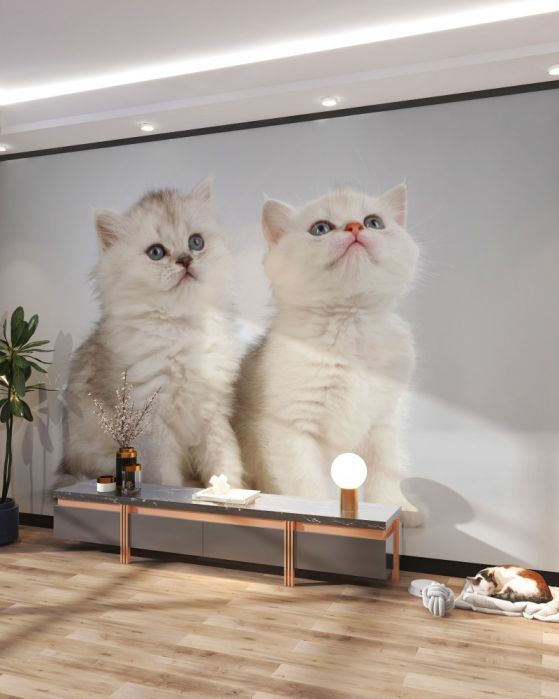 Carta da parati Gatti